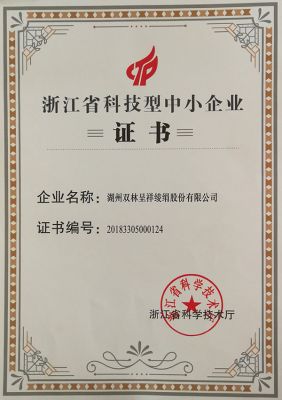 浙江省科技型中小企业